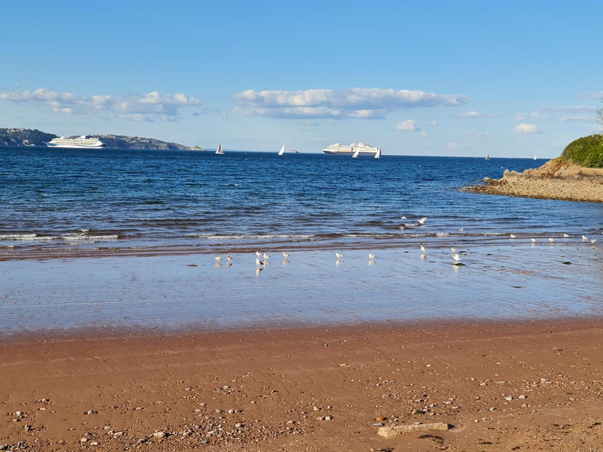 Churston Ferrers Seaspot Is A 1 Bed Annex Ground Floor Apartment At Stunning Broadsands Beach Nr Brixham! מראה חיצוני תמונה